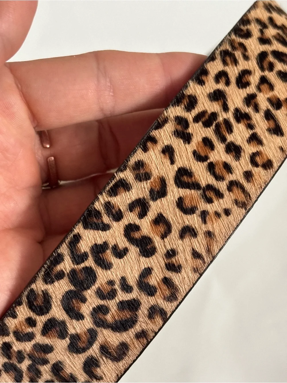 Chicos western glam Leopard Print Rhinestone Western Belt - Gold Buckle